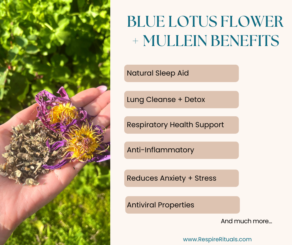 Respire Bundle • Blue Lotus Flower & Mullein (12) 2g Tea Bags + Matchbox Set